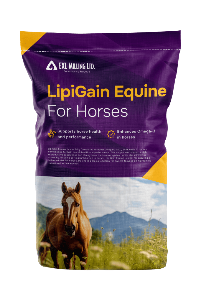 LipiGain Equine For Horses