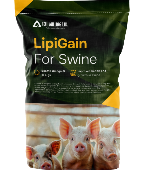 LipiGain For Swine