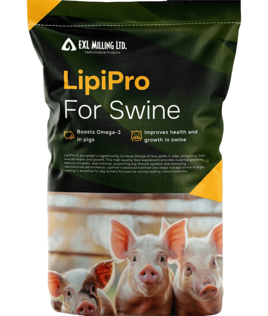 LipiPro For Swine